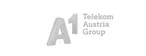 A1